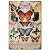 Vintage Schmetterling Metall Wandkunst Retro Blechschild für Café Dekoration