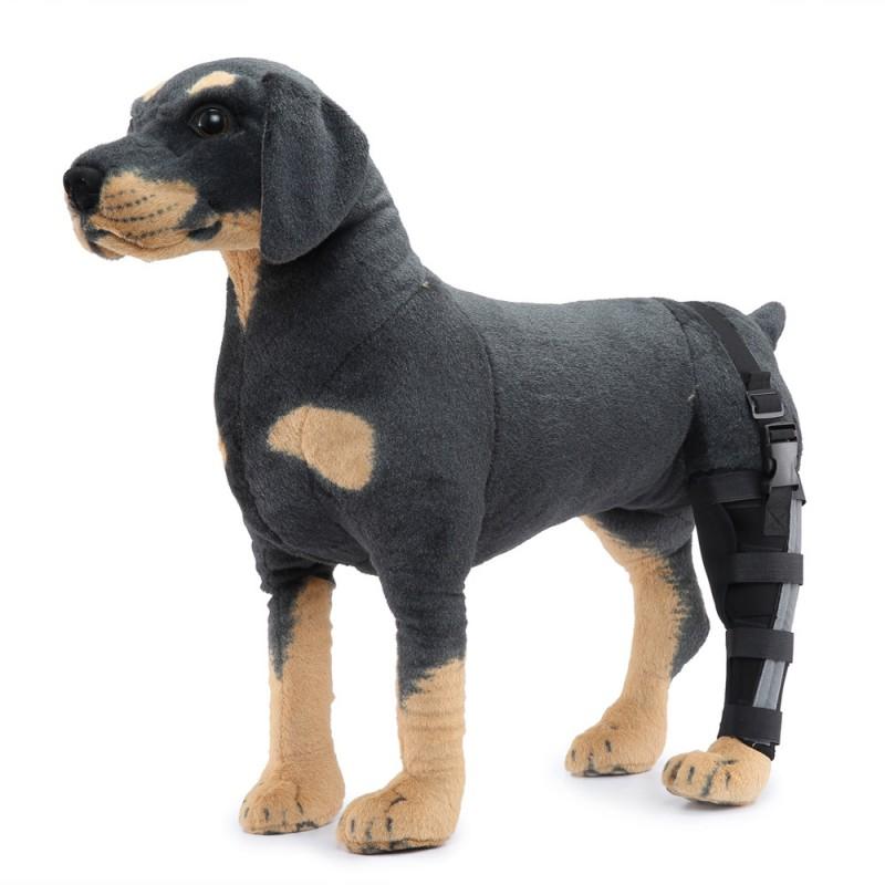 Hunde-Hinterbein-Stützbandage zur Genesung nach Operationen und zum Schutz vor Verletzungen für mittlere bis große Rassen