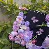 Doctor DIY Flowers Graduation Cap Master Trencher Cap Material Package  Graduation Season