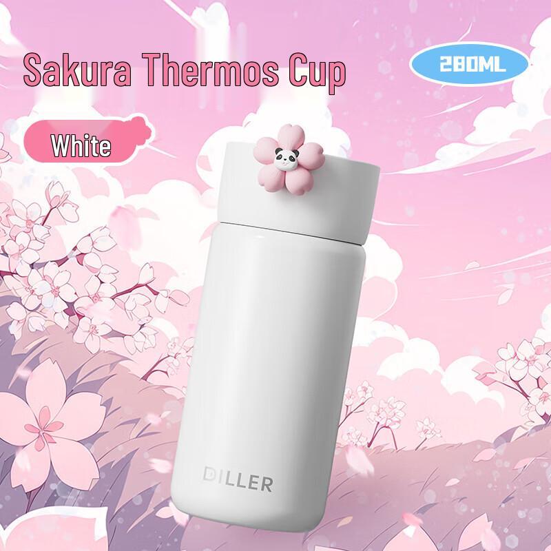 Dileber Portable Insulated Stainless Steel Water Bottle