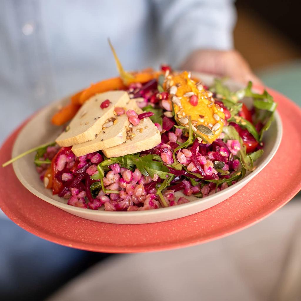 CONNECT Set of by Made from Recycled Plastic for Outdoor Durable and These Plates Are Perfect for and and Perfect As a Gift or Kitchen Plates, 20.5cm,