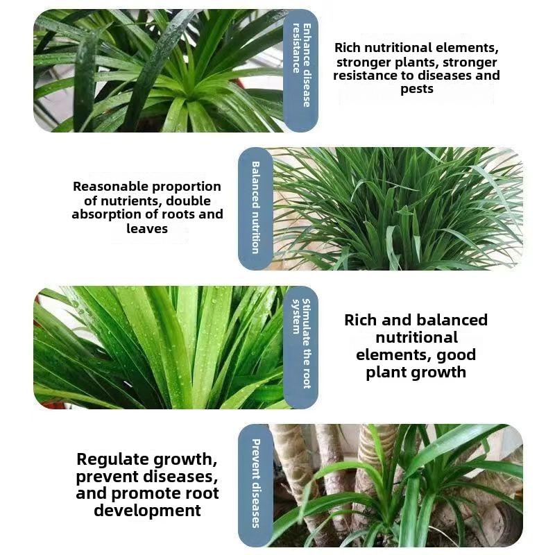 Plant Nutrient Solution, Indoor Potted Plants To Cure Yellow Leaves Dry Tip Special Type Green Organic Fertilizer