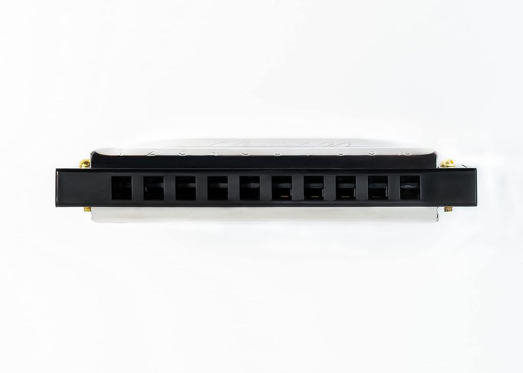 HOHNER SPECIAL 20B Special 20 10-hole Harmonica