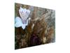 SZKLANA DESKA DO KROJENIA 52x30 ORCHIDEA