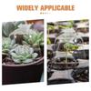 10Pcs Clear Plastic Plants Dome Protector for Garden Humidity Control