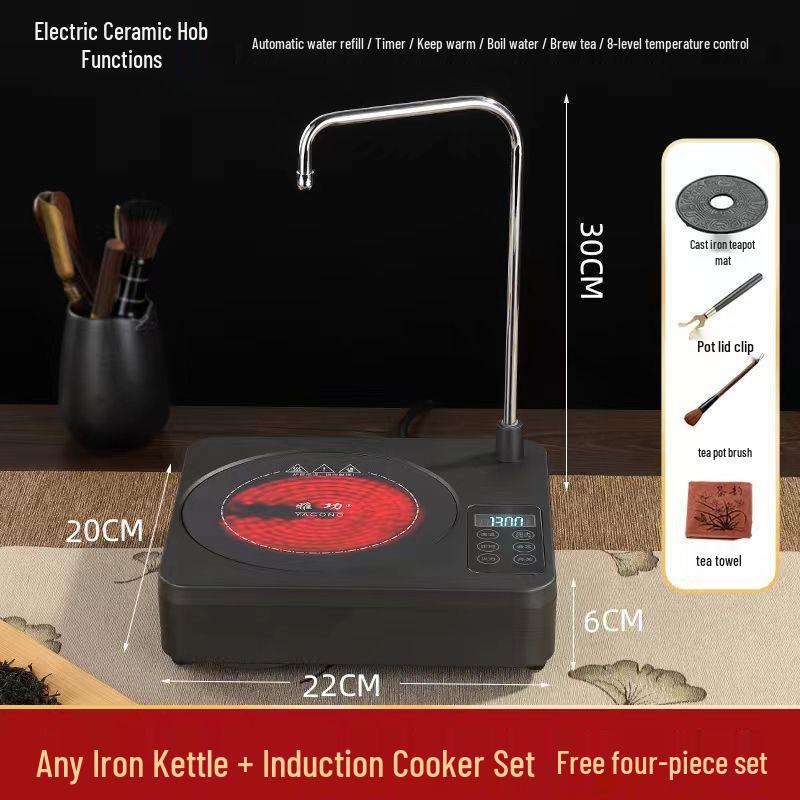 Hand-Forged Japanese Cast Iron Teapot for Gongfu Tea