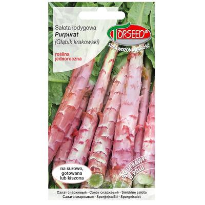 Laitue tige (Globo)Purpurat graines de légumes frais PREMIUM 0,5g