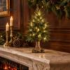 Reusable Holiday Table Decor Vintage Lighted Norfolk Pine Tree with Remote Control, Battery Operated Artificial Christmas Traditional Display