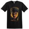 Harry Potter Wizard Portrait T Shirt W/ Golden Snitch Fantasy Movie Graphic Tee