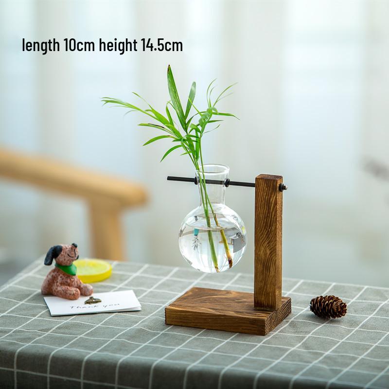 Minimalist Glass Vase with Wooden Stand for Pothos Plants – Hydroponic Desktop Ornament