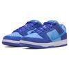 Nike Sb Dunk Low Pro 'Fruity Pack Blue Raspberry' Skateboard Shoes DM0807-400