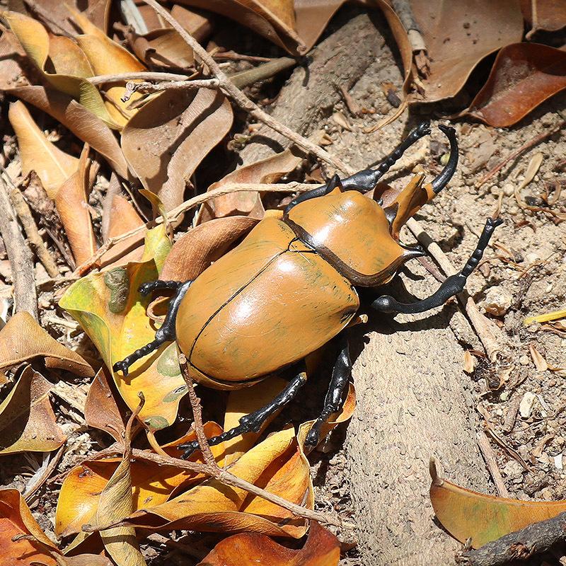 Oenux Wild Insect Animals Model Mantis Grasshopper Butterfly Bee Beetle Action Figures PVC Science Education Collection Kid Toy