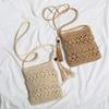 Straw Weaving Shoulder Bags for Women Tassel Beach Crossbody Bag Messenger Bag