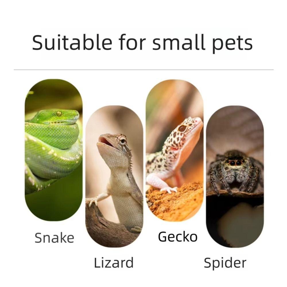 Anti-Slip Hermit Crab Ladder Secure Suction Cup Reptile Climbing Toy Climbing Mesh Panel  Terrarium