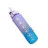 Große Kapazität 1000ml Farbverlauf Mattierte Tragbare Sportwasserflasche mit Stroh