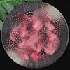50pcs Small Size Natural Feathers Spotted Pattern Real Plumes Spotted Feathers Multicolo Natural Color Fake Eyelashes DIY