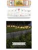 LED Wind-Powered Firefly Lights, 6 or 8 Heads, Outdoor Landscape Decoration for Parks and Streets