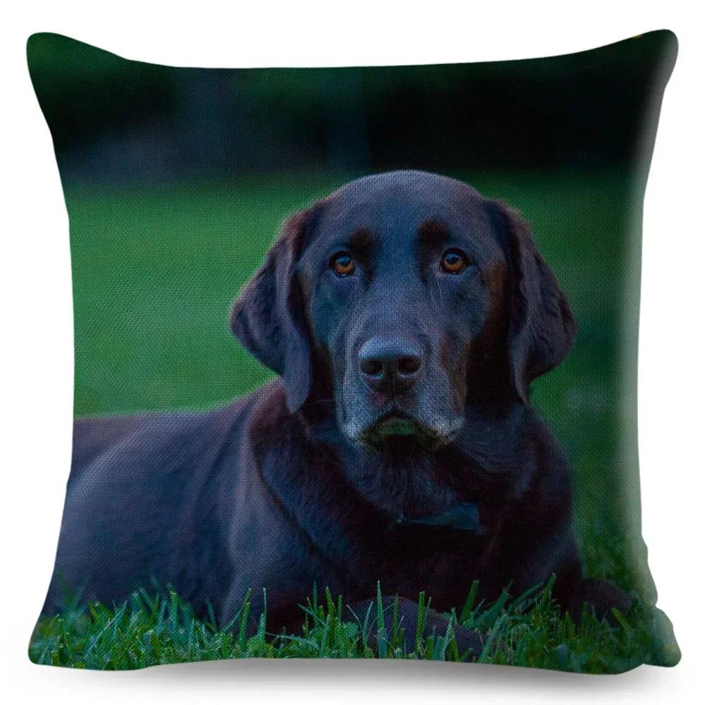 Cute Black Labrador Dog Double-Sided Printed Pillow Cover Short Plush Suitable Living Rooms Bedrooms Sofas Throw Cushion Cover