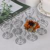 Air Plant Stand Plant Displa Stainless Steel Container