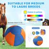 Dog Giant Toy Ball Large Pet Outdoor Training Supplies Children's Interactive Game Toys Interest Play Balls Dog Like Colors Ball