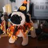 Pumpkin Halloween Cat Costume Spider Pet Halloween Supplies Cute Cat Collar Hat Set  Small Dog