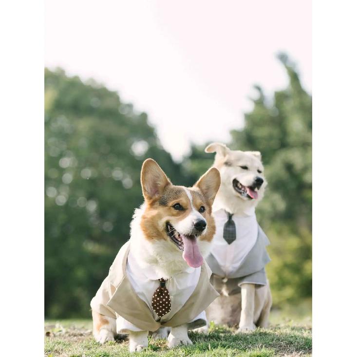 Elegant Pet Dog Suit Coat Puppy Wedding Suit Fake Two Pieces Cute Puppy Suit with Tie Dog Costume for Small Medium Large Dogs