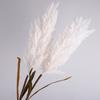 Simulation Tree Branch Artificial Dried Reed Fake Plant Flowers  Desktop Decoration