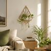 Vase Hydroponic Plant Holder Home Ornaments Flower Pot Wall Hanging Planter Shelf  Wall Mount