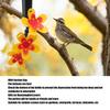 Hanging Design DIY Hummingbird Feeder Bottle Recycling Hanging Hummingbird Feeder  For Garden
