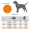 Durable Shock-Absorbing Dog Leash & Collar Set for Medium and Large Dogs - Anti-Pull, Safe & Comfortable