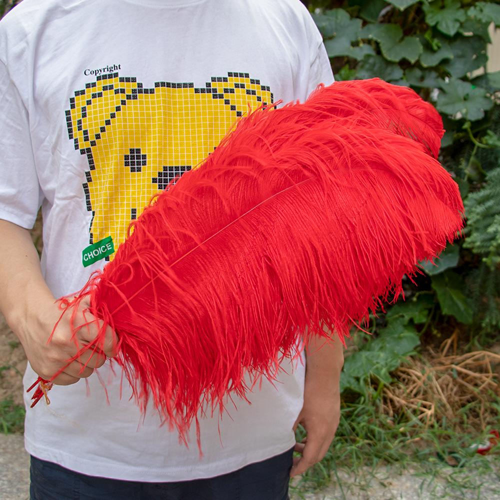 10 buc Pene Naturale de Struț Vrac 15-50cm Pană pentru Meșteșuguri pentru Petrecere Nuntă Decor Acasă Centrul Mesei Decorare Bijuterii