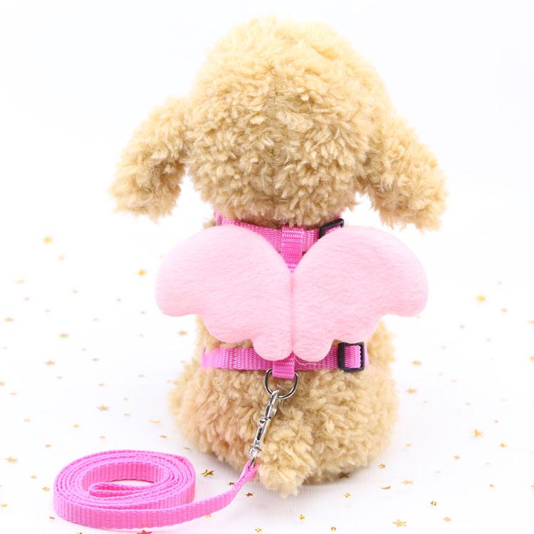 Pet Supplies Adjustable Dog Nylon Leash Dog Cat Traction Rope Puppy Pet Angel Wings Chest Straps