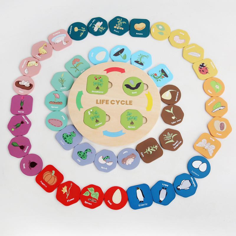 Child Wooden Educational Animal Plant Life Cycle Puzzle For Learning Early