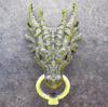 Gothic Faucet Sculpture Door Knocker with Screws & Nano Glue