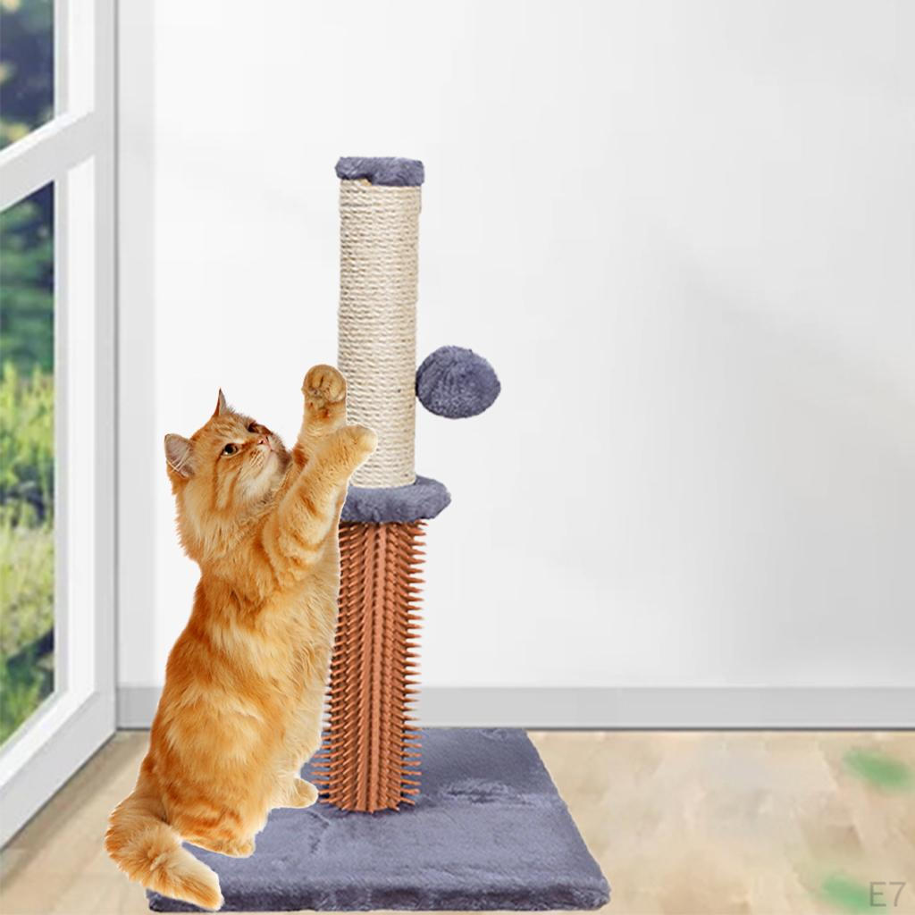 Post Furniture Bed Center Kitten