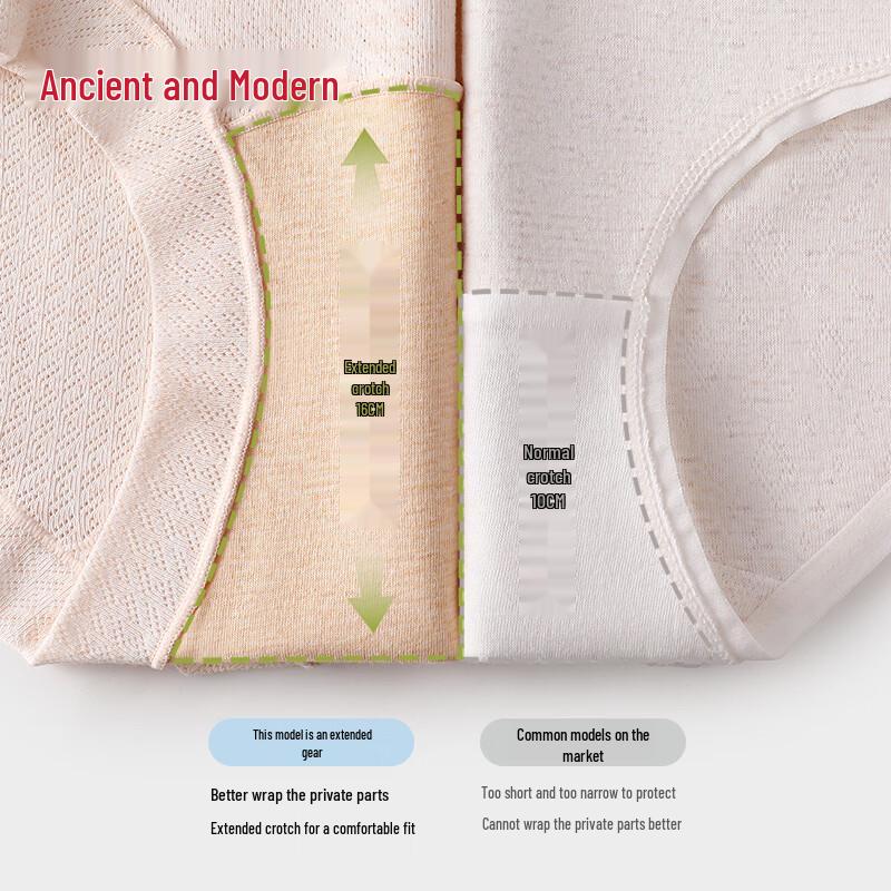 GUJIN Women's High-Waist Cotton Briefs (3-Pack)