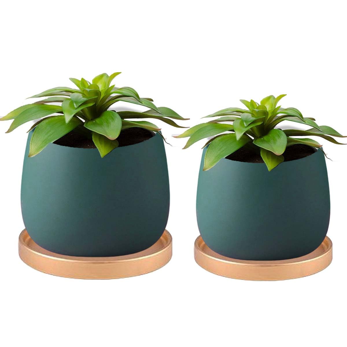 

iikuru Stylish Ceramic Planter Set for Houseplants and Succulents