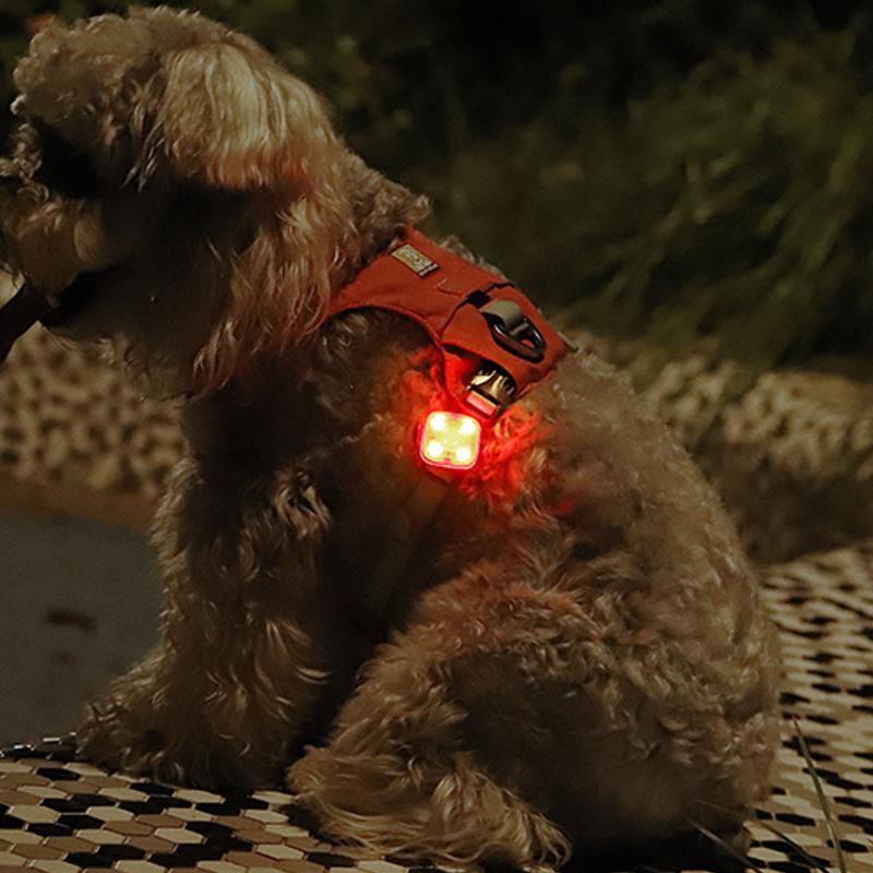 Pet Luminous Pendant, Dog Led Walking Pet Cat Glowing Pendant Safety Luminous Collar Dog Usb Rechargeable 3 Modes Flashlight