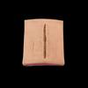 Surgical Suture Practice Module HLMX036