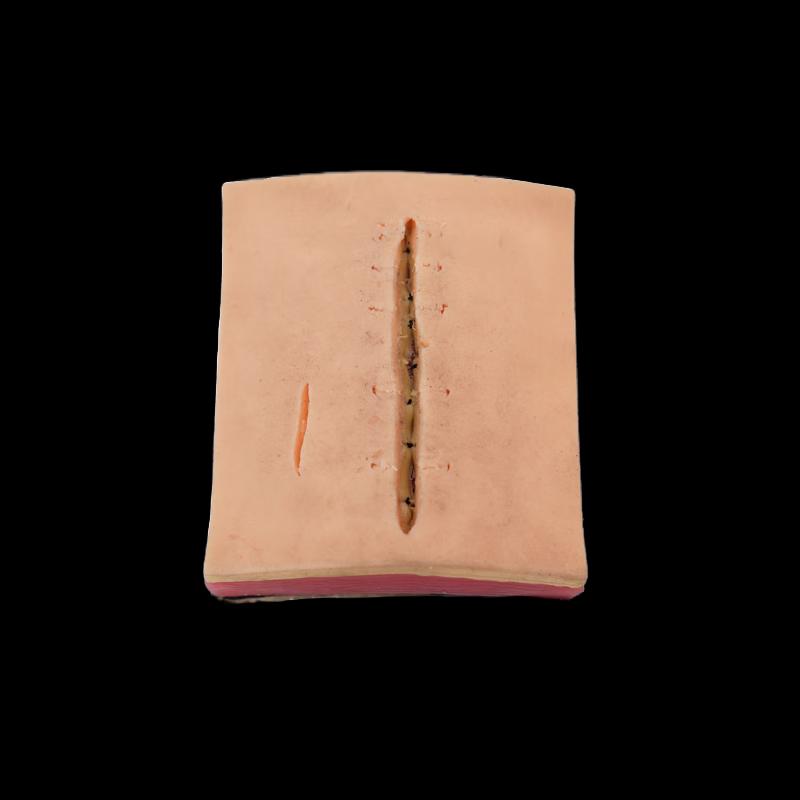 Surgical Suture Practice Module HLMX036
