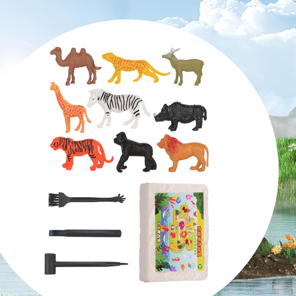 Archaeology Discovery Excavation Kits Stem Activities DIY Digging Toys for Children