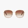 Sunglasses (FLS7390 NUDE 58)