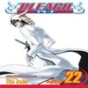 Bleach Vol. 22 by Tite Kubo Paperback Book 9781421511795