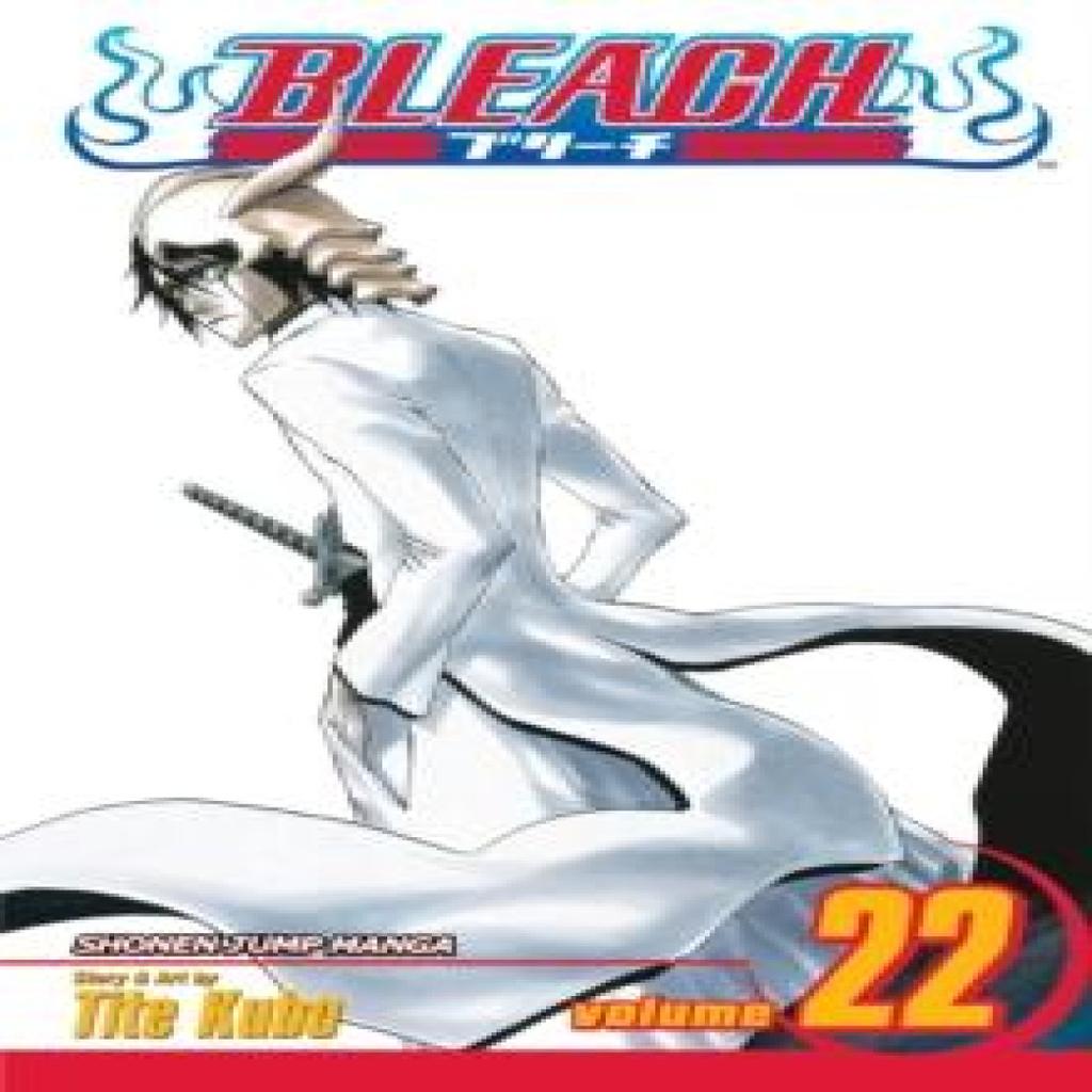 Bleach Vol. 22 by Tite Kubo Paperback Book 9781421511795