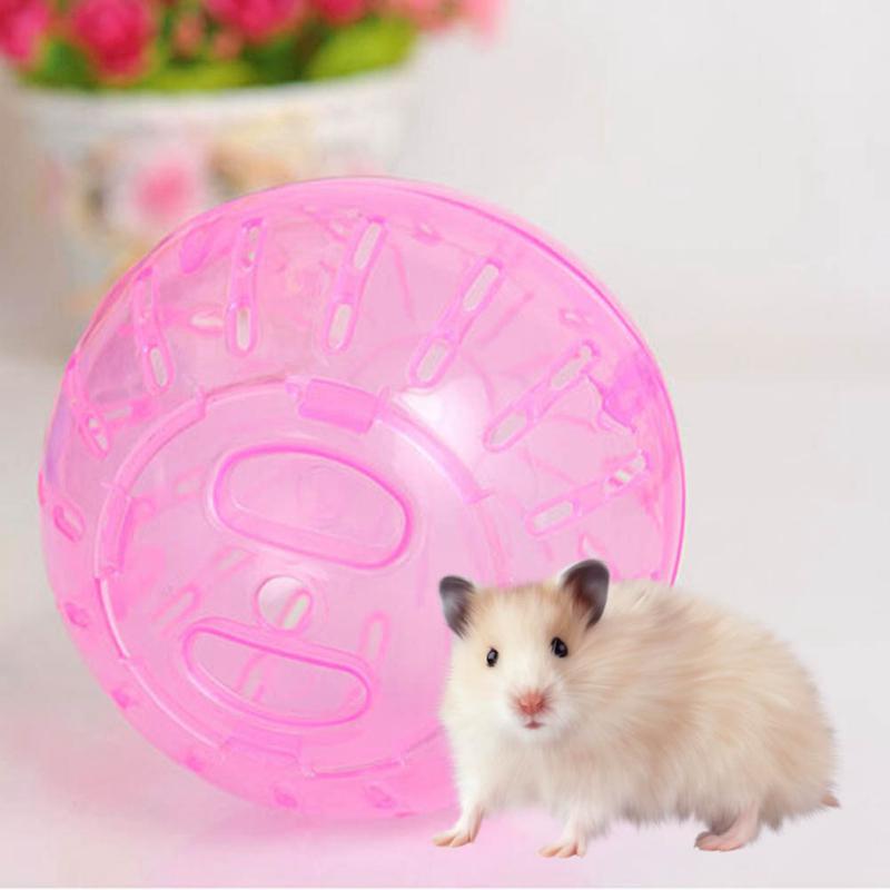 milo activation hamster