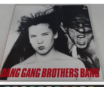 LP Record DUNGAN BROTHERS BAND  Dang Gang Brothers Band VIH28144 Invitation 1983 Japan Obi Japanese PopRock Used