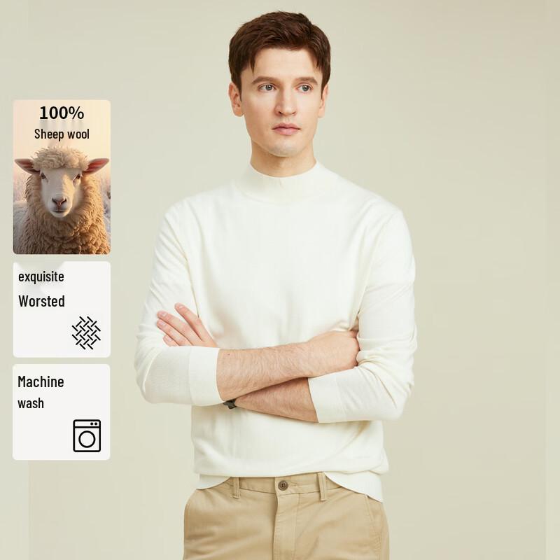 Men's Round Neck Wool Knit Sweater