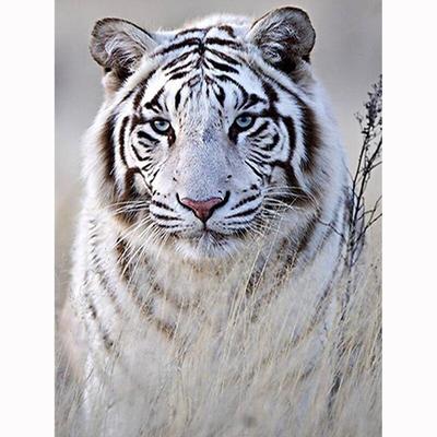 Diamond Painting Cross Stitch Diamond Embroidery Wild White Tiger Full Round Rhinestones Home Decor