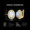 Gorgeous 925 Sterling Silver Women's Clasp Earrings Fine Jewelry for Festival Gift, Oval 10*14mm Natural Opal Awaken Inspiration