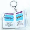 The Access Popular Aquarium Creatures Aquarium Dictionary - Mini-Dictionary